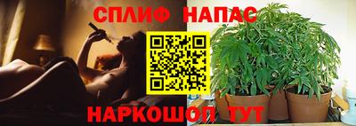 дживик Ликино-Дулёво