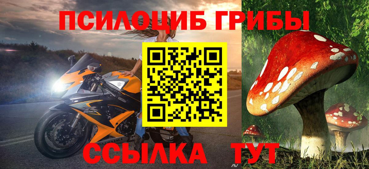 Воскресенск  Псилоцибиновые грибы мухоморы  Вход с VPN 