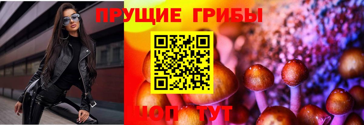 Псилоцибиновые грибы Magic Shrooms Воскресенск